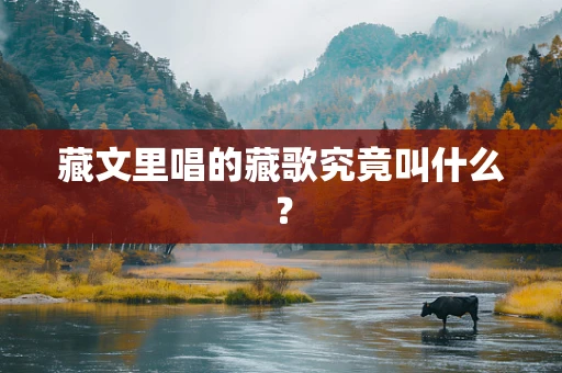 藏文里唱的藏歌究竟叫什么？