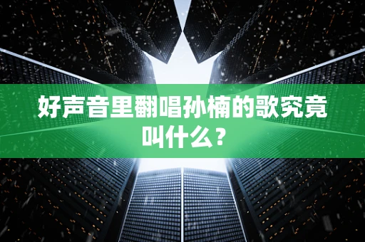 好声音里翻唱孙楠的歌究竟叫什么？
