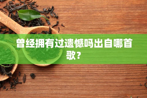 曾经拥有过遗憾吗出自哪首歌？