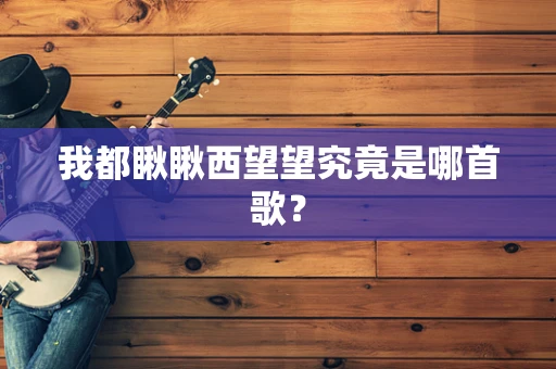 我都瞅瞅西望望究竟是哪首歌？
