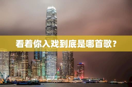 看着你入戏到底是哪首歌？