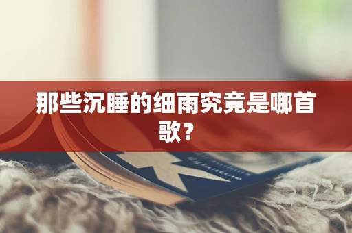 那些沉睡的细雨究竟是哪首歌？