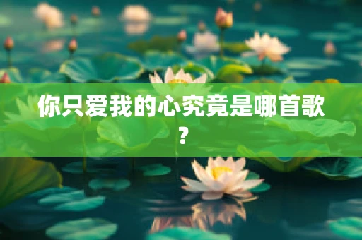 你只爱我的心究竟是哪首歌？