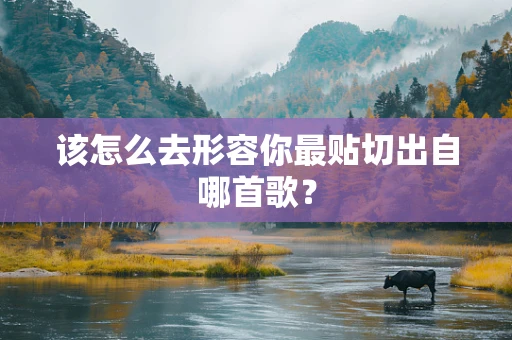该怎么去形容你最贴切出自哪首歌？