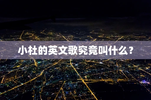 小杜的英文歌究竟叫什么？