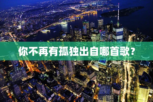 你不再有孤独出自哪首歌？