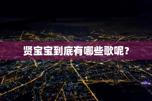 贤宝宝到底有哪些歌呢？