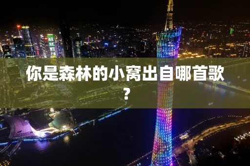 你是森林的小窝出自哪首歌？