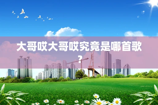 大哥哎大哥哎究竟是哪首歌？