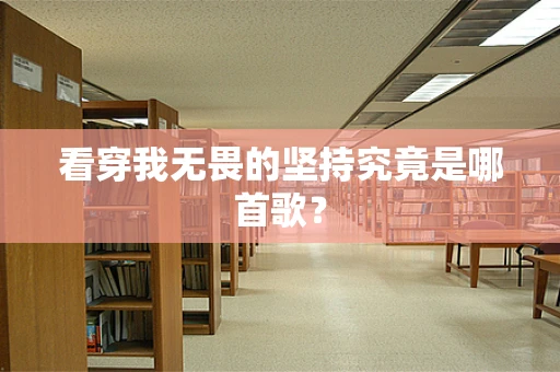 看穿我无畏的坚持究竟是哪首歌？