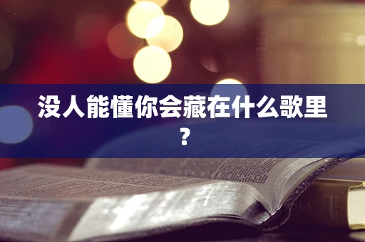没人能懂你会藏在什么歌里？