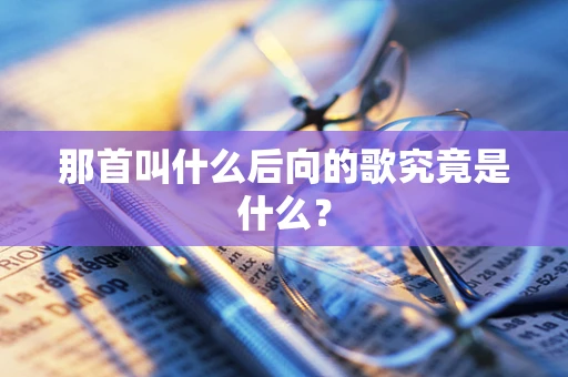 那首叫什么后向的歌究竟是什么？