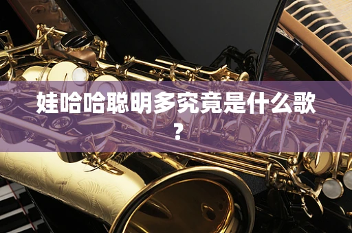 娃哈哈聪明多究竟是什么歌？