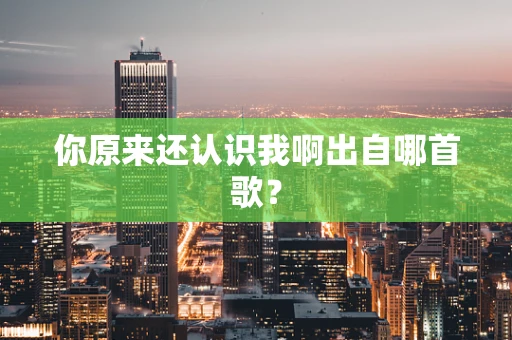 你原来还认识我啊出自哪首歌？