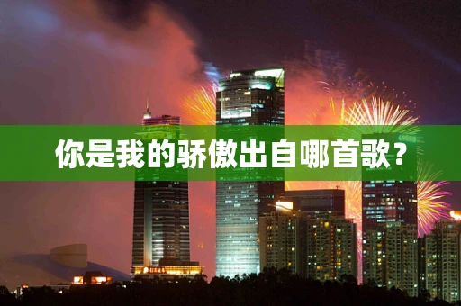 你是我的骄傲出自哪首歌？