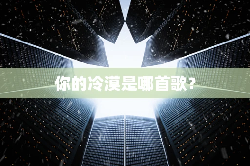 你的冷漠是哪首歌？