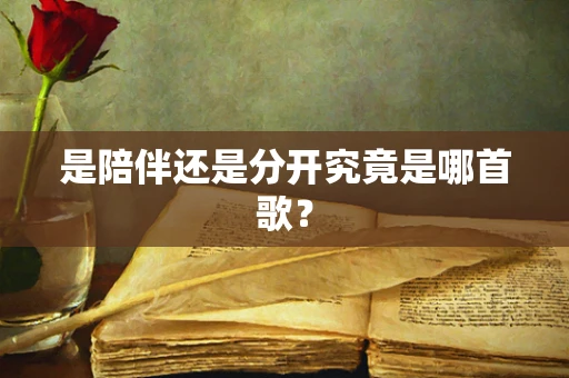 是陪伴还是分开究竟是哪首歌？