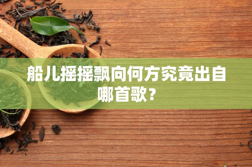 船儿摇摇飘向何方究竟出自哪首歌？