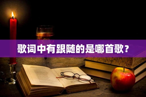 歌词中有跟随的是哪首歌？