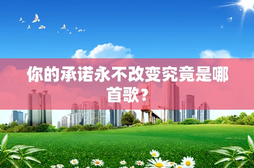 你的承诺永不改变究竟是哪首歌？