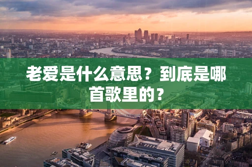 老爱是什么意思？到底是哪首歌里的？