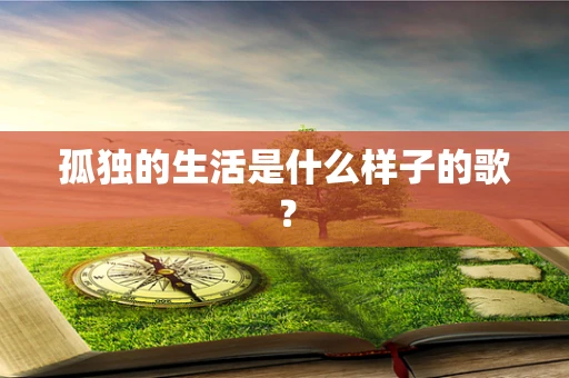 孤独的生活是什么样子的歌？