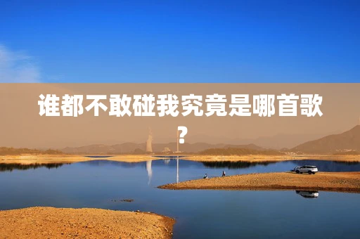谁都不敢碰我究竟是哪首歌？