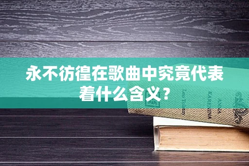 永不彷徨在歌曲中究竟代表着什么含义？