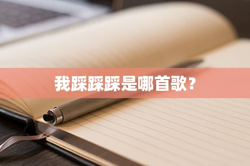 我踩踩踩是哪首歌？