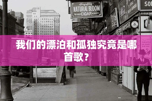 我们的漂泊和孤独究竟是哪首歌？