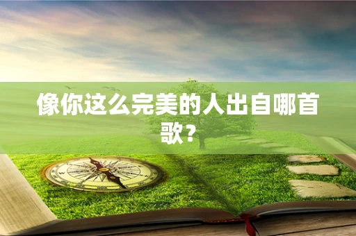 像你这么完美的人出自哪首歌？