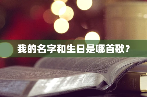 我的名字和生日是哪首歌？