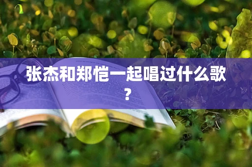 张杰和郑恺一起唱过什么歌？