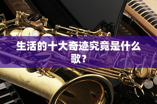 生活的十大奇迹究竟是什么歌？