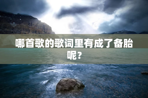 哪首歌的歌词里有成了备胎呢？