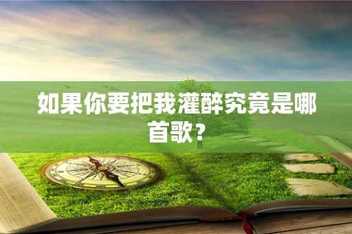 如果你要把我灌醉究竟是哪首歌？
