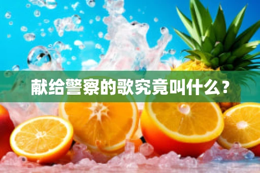 献给警察的歌究竟叫什么？