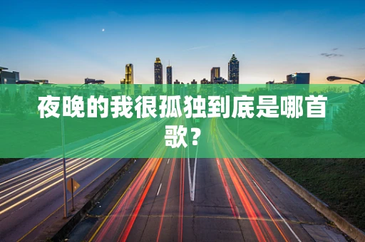 夜晚的我很孤独到底是哪首歌？