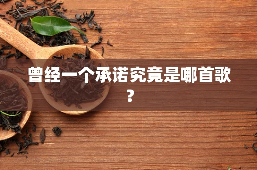 曾经一个承诺究竟是哪首歌？