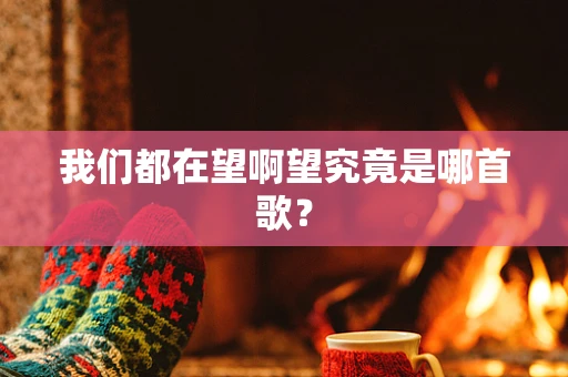 我们都在望啊望究竟是哪首歌？