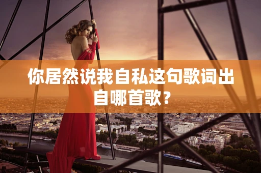 你居然说我自私这句歌词出自哪首歌？