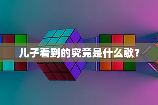 儿子看到的究竟是什么歌？