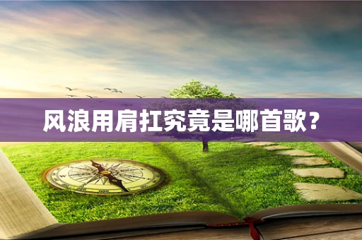 风浪用肩扛究竟是哪首歌？