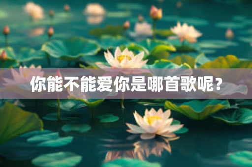 你能不能爱你是哪首歌呢？