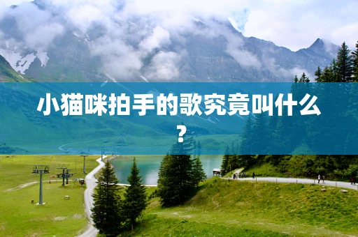 小猫咪拍手的歌究竟叫什么？
