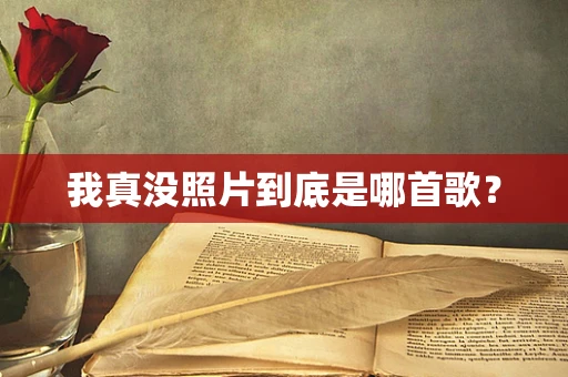 我真没照片到底是哪首歌？
