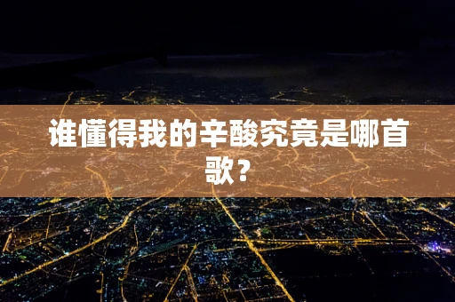 谁懂得我的辛酸究竟是哪首歌？