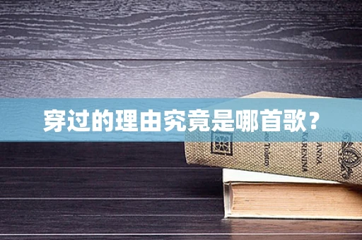 穿过的理由究竟是哪首歌？