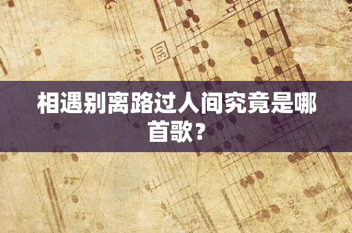 相遇别离路过人间究竟是哪首歌？