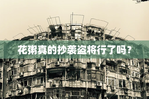 花粥真的抄袭盗将行了吗？